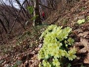 43 Ed ora in decisa salita